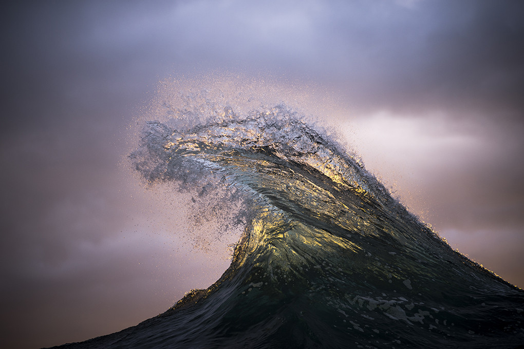 Found at Sea by Ray Collins